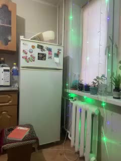 MayLily Adult Chat February 24, 2026