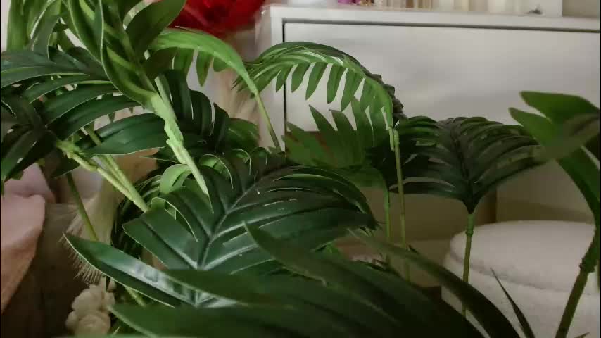 imcarrieberry Adult Chat February 25, 2026