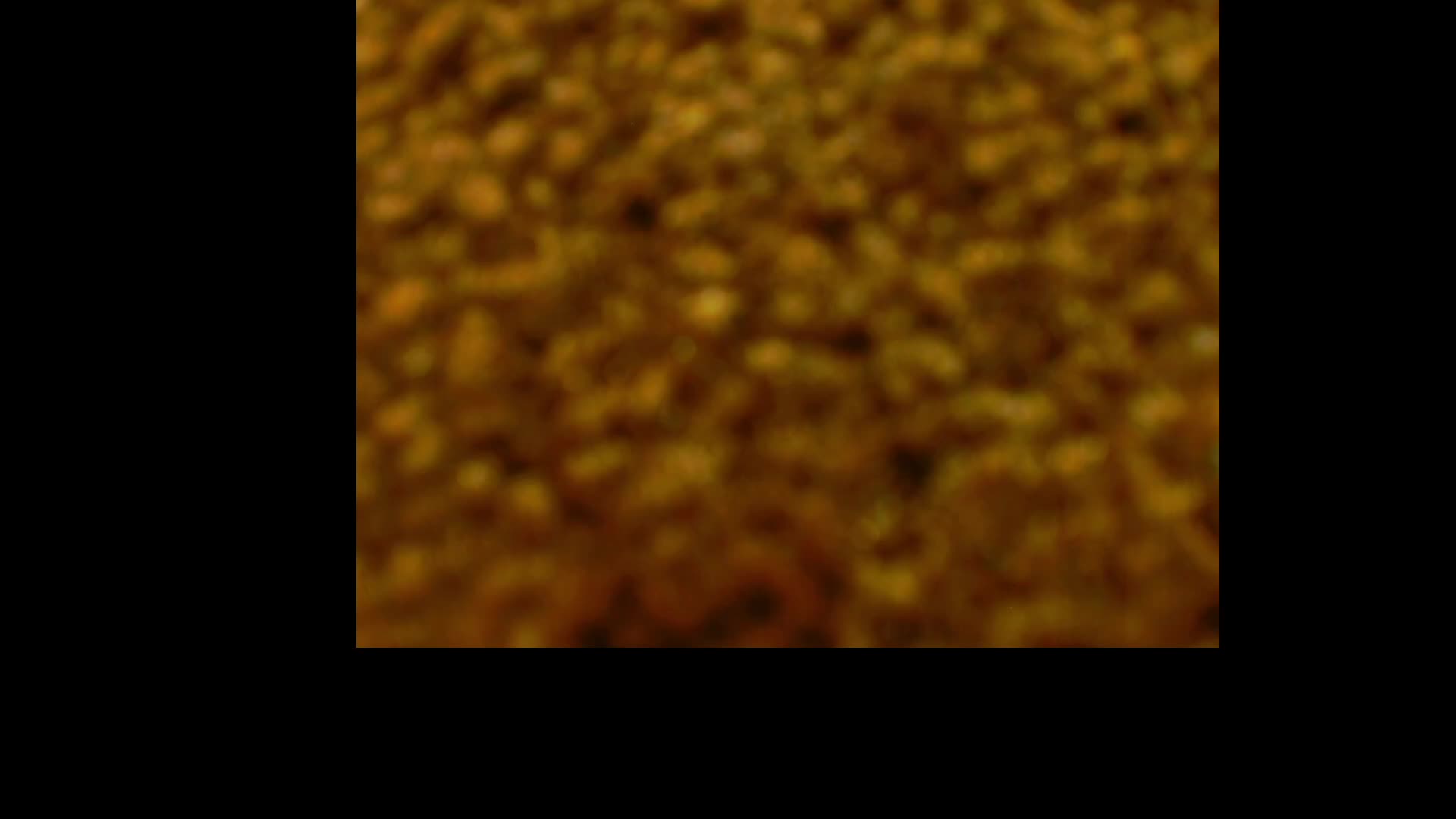 SweetCoople Adult Chat February 25, 2026