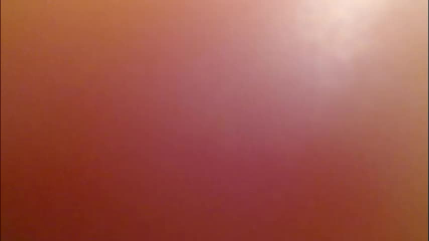 hazel_skye Adult Chat February 25, 2026