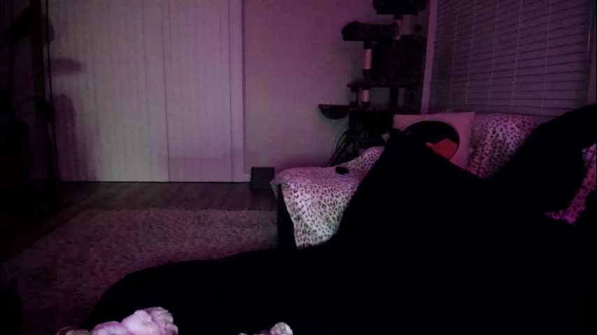 bbshasta Adult Chat February 25, 2026