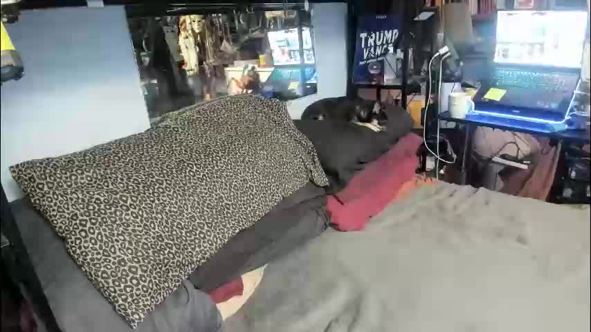 pink_black Adult Chat February 25, 2026