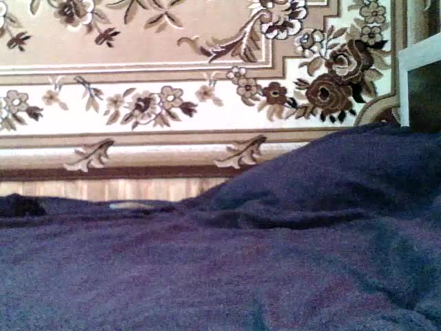 Viktoriia21 Adult Chat February 25, 2026