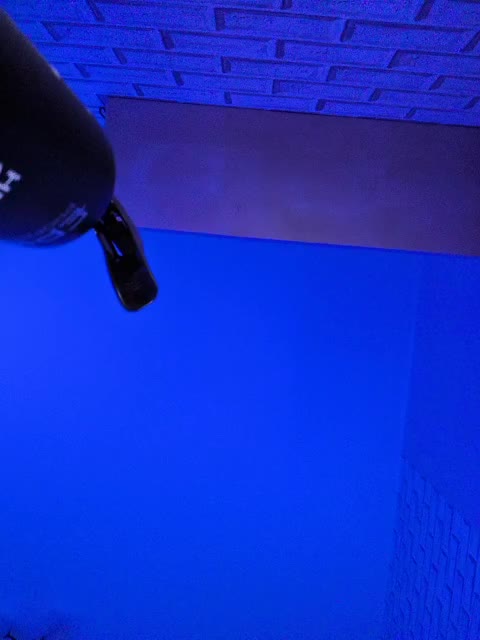 GORIGLAZ Adult Chat February 25, 2026