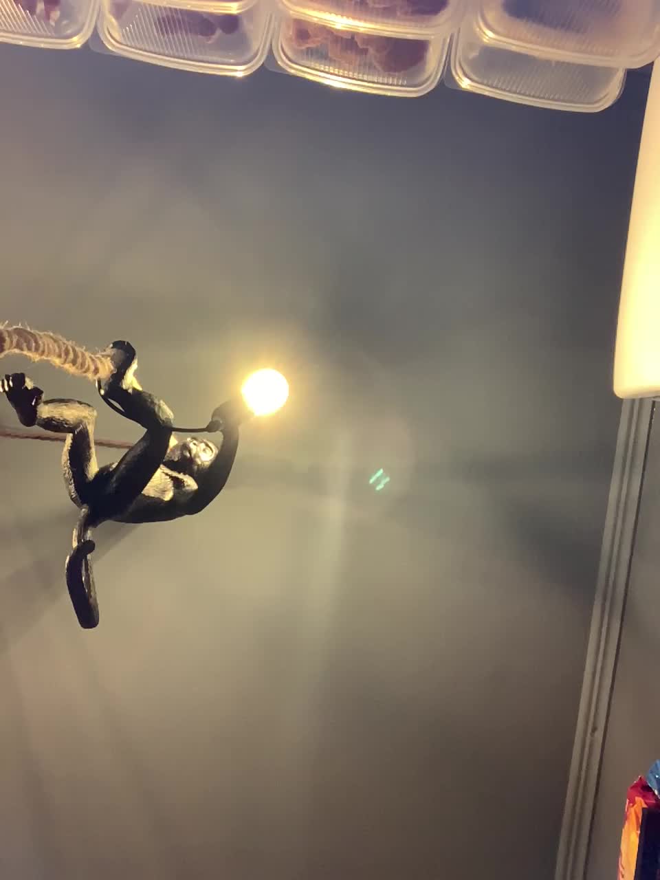 Yummypopka Adult Chat February 26, 2026