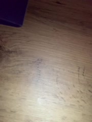 Yummypopka Adult Chat February 26, 2026