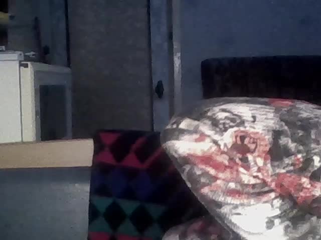 Success100 Adult Chat February 26, 2026