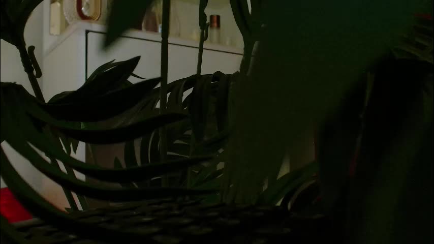 imcarrieberry Adult Chat February 26, 2026