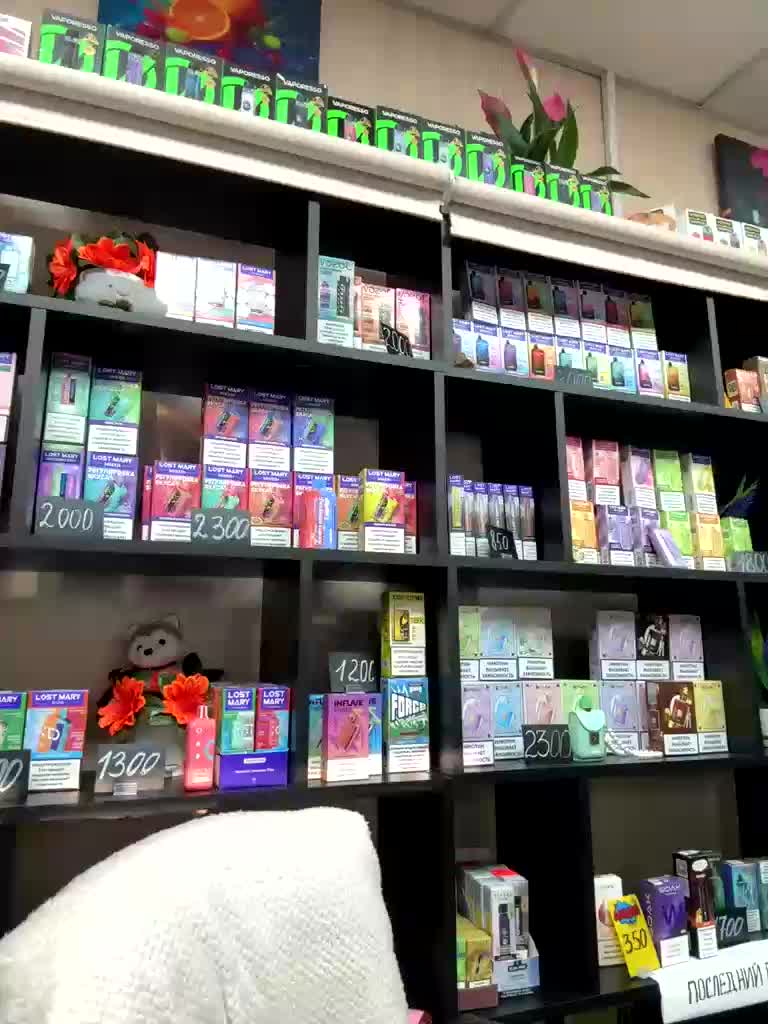 sofiedvige Adult Chat February 26, 2026