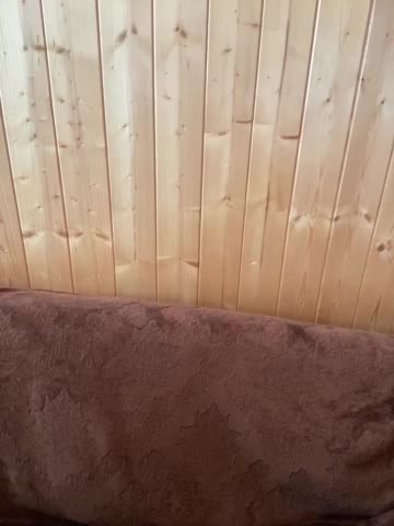 Sweetie_Kitty Adult Chat February 26, 2026