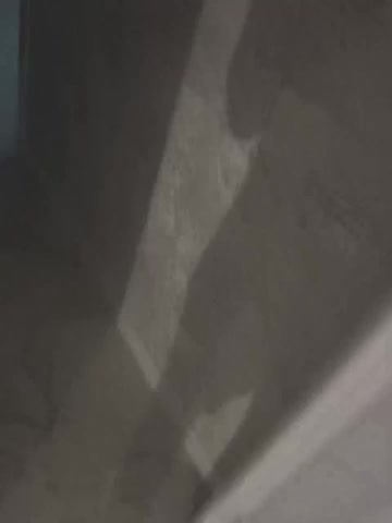 AlinaDimaBIPARA Adult Chat February 27, 2026