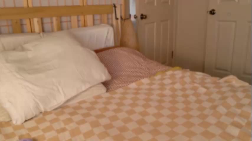 sofftrose Adult Chat February 27, 2026