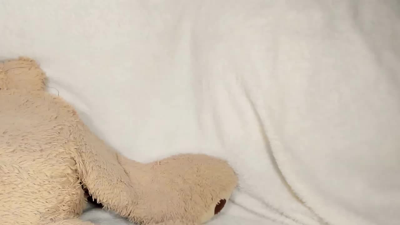 MelMooon Adult Chat February 27, 2026