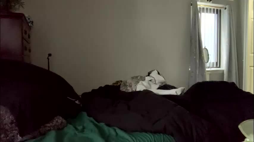 intothewoodswego Adult Chat February 27, 2026