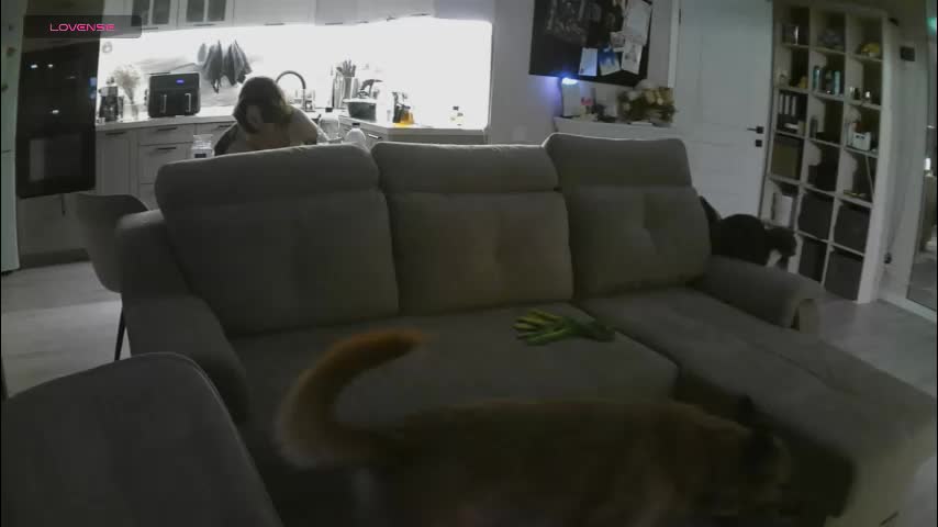 porrrno_pony Adult Chat February 27, 2026