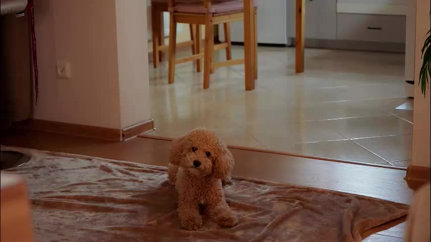 juliacontrol Adult Chat February 28, 2026