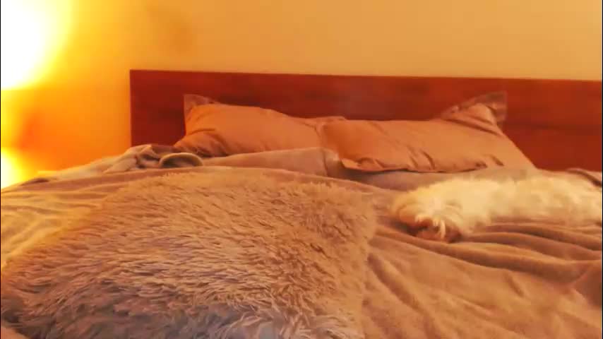 andrasweetie Adult Chat February 28, 2026