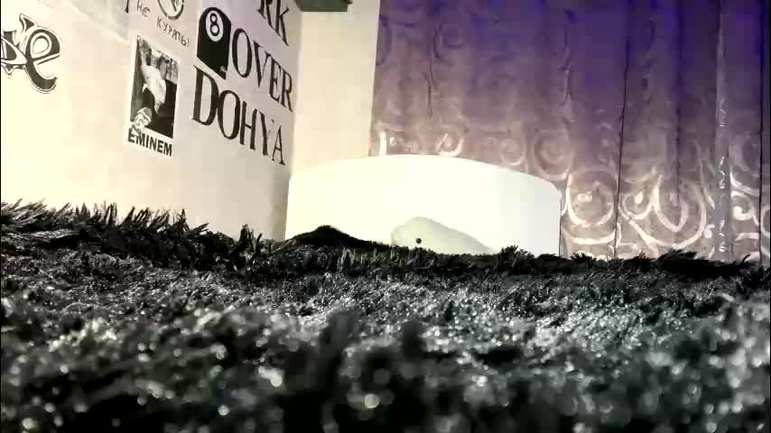 camiyafai Adult Chat February 28, 2026