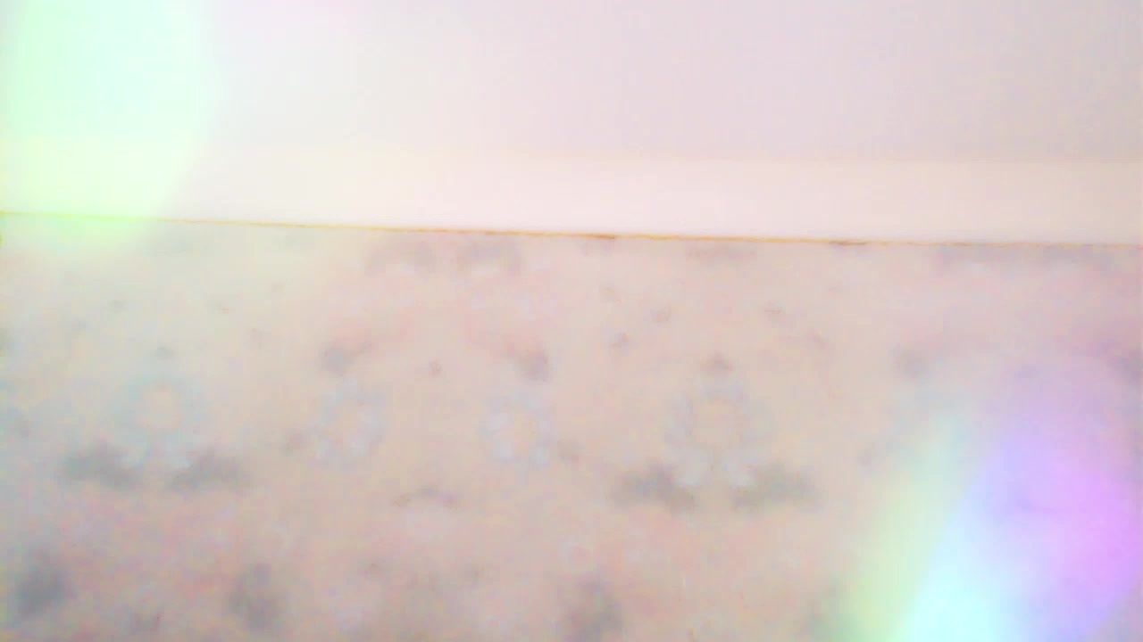 XTaylaX Adult Chat February 28, 2026