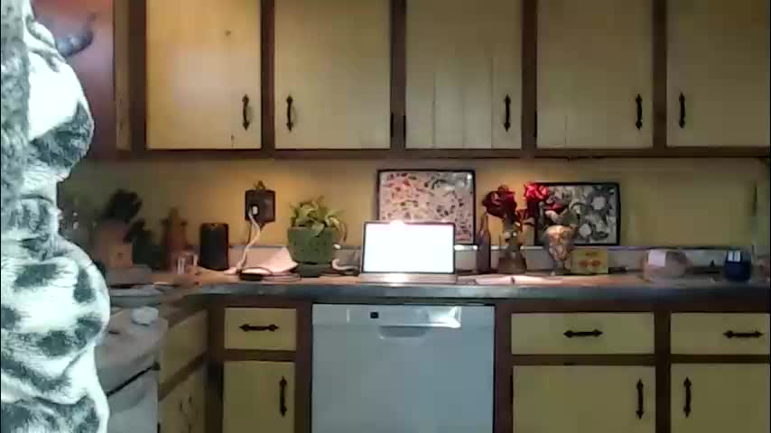 catalystic Adult Chat March 1, 2026