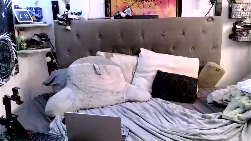 itscandibtch6969 Adult Chat March 1, 2026