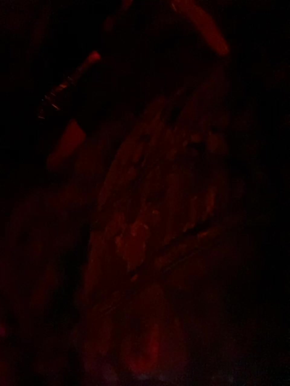 Lisa1225 Adult Chat March 1, 2026