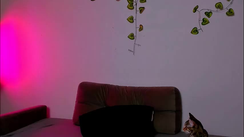 ladytrep Adult Chat March 1, 2026