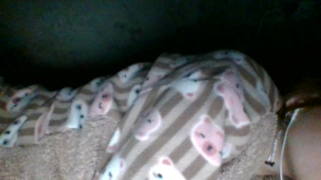 69Belka69 Adult Chat March 1, 2026