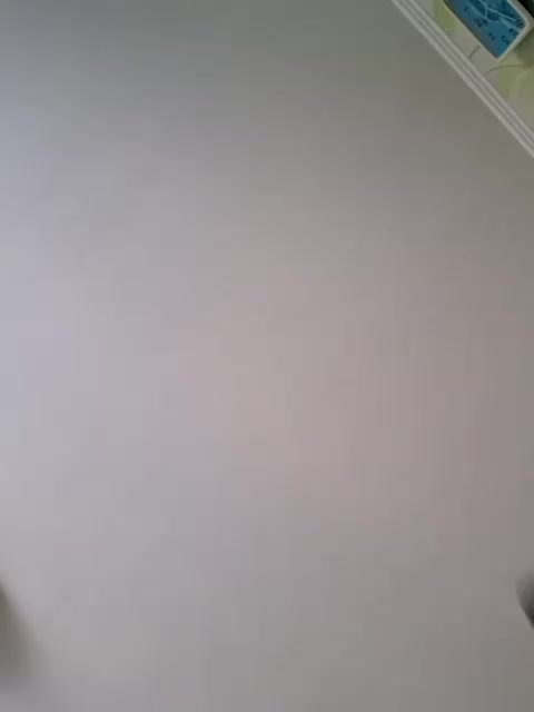 Mishellca Adult Chat March 1, 2026