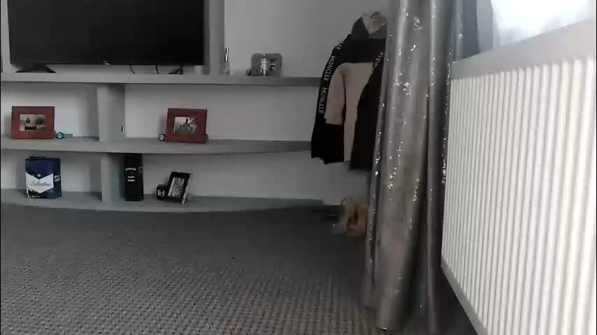 crazybrenda89 Adult Chat March 2, 2026