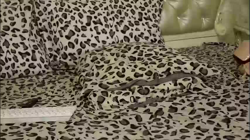 carmellaangel Adult Chat March 1, 2026