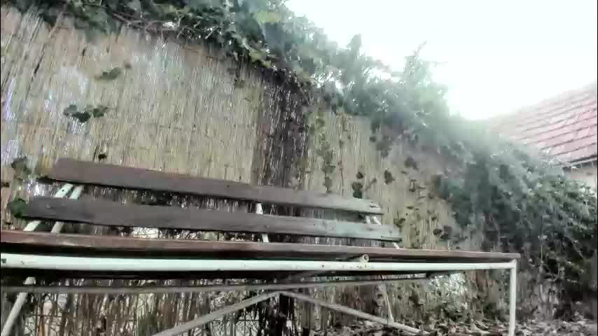 tymika Adult Chat March 2, 2026