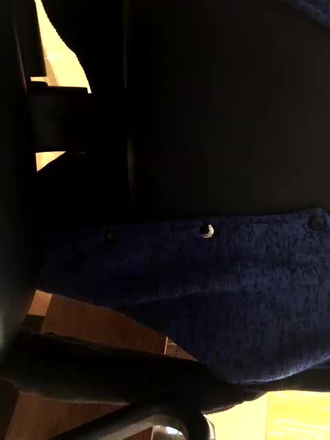 Sentara Adult Chat March 1, 2026