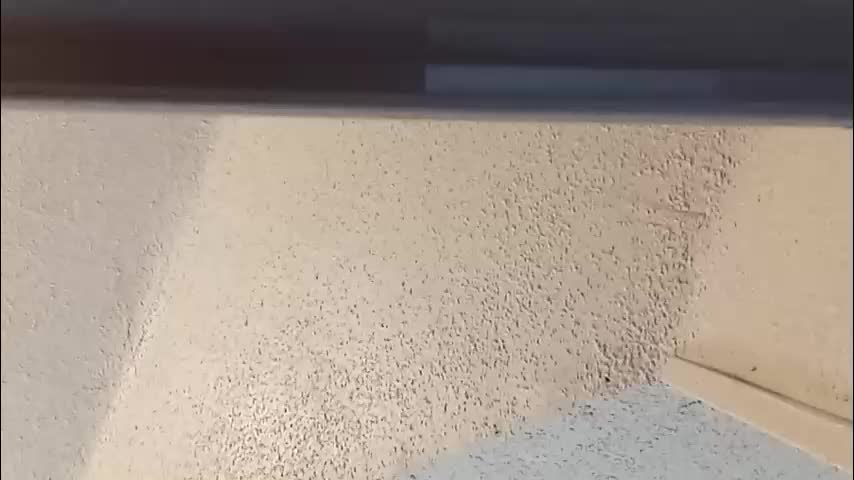 msalls1124 Adult Chat March 2, 2026