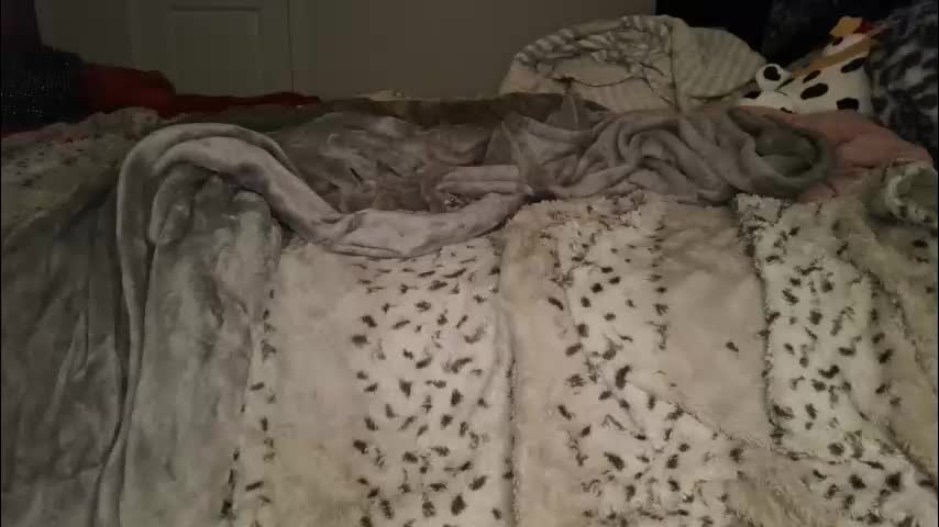 glorialove777 Adult Chat March 2, 2026