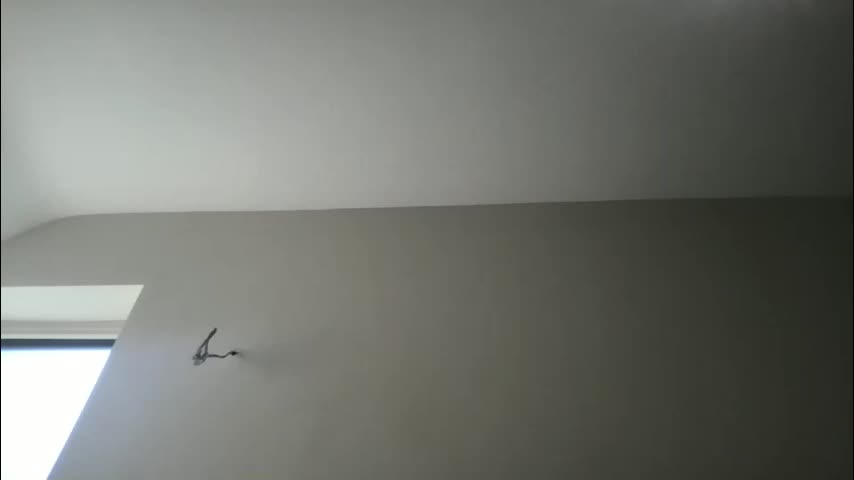 skyyroseee Adult Chat March 2, 2026