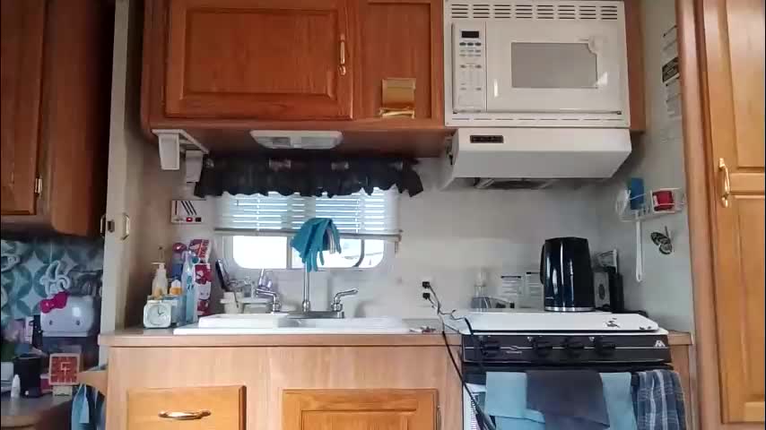 littleleo96 Adult Chat March 2, 2026