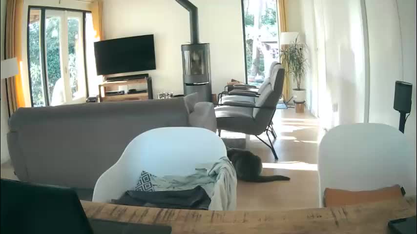 woodwurm Adult Chat March 2, 2026