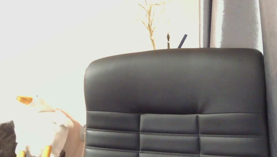 Ornotores_wers Adult Chat March 2, 2026