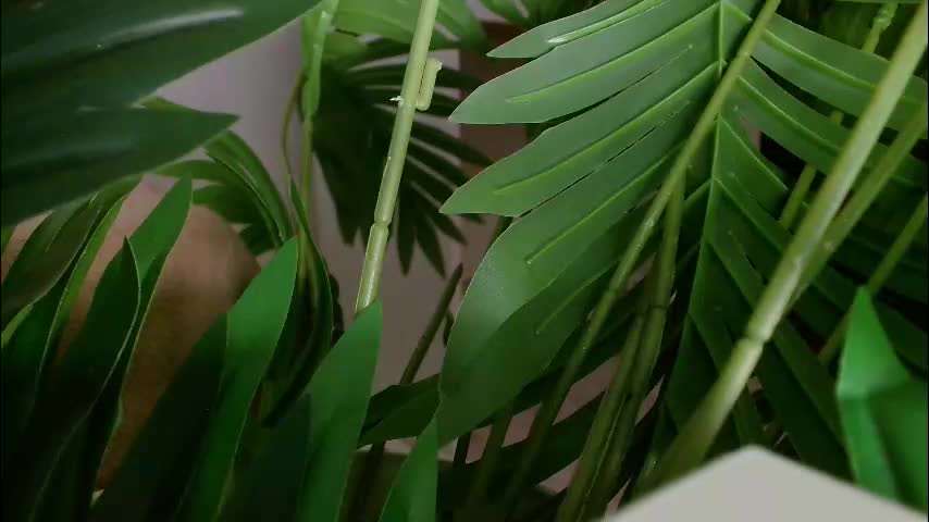 imcarrieberry Adult Chat March 3, 2026