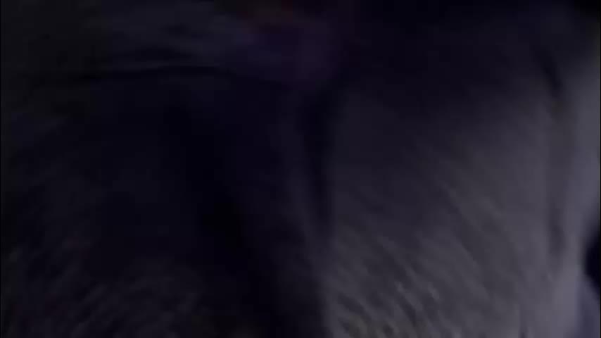 dragonhotcouple Adult Chat March 3, 2026