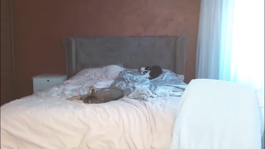 mishakiss34 Adult Chat March 3, 2026