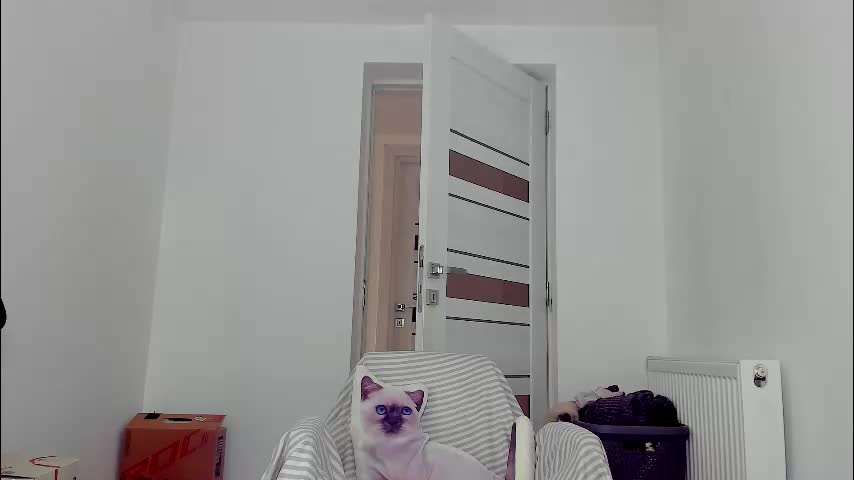 you_love_melisa Adult Chat March 3, 2026