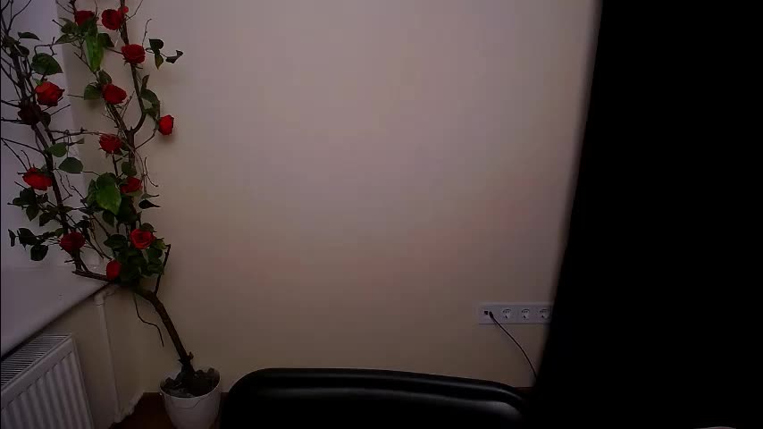 bunnybloom_ Adult Chat March 4, 2026