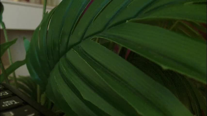 imcarrieberry Adult Chat March 4, 2026