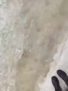 RelishSavor Adult Chat March 4, 2026