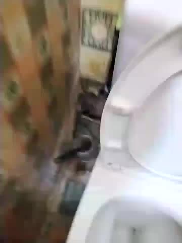 Holly-69 Adult Chat March 4, 2026