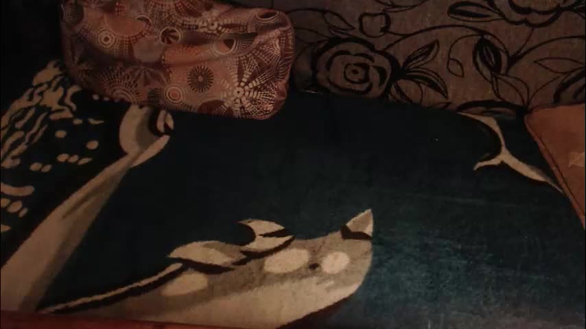 new_milf Adult Chat March 4, 2026