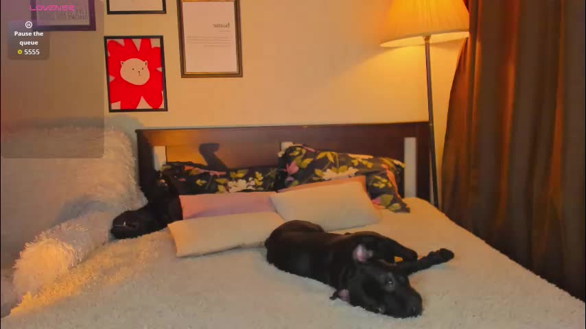 lavender_tender Adult Chat March 5, 2026