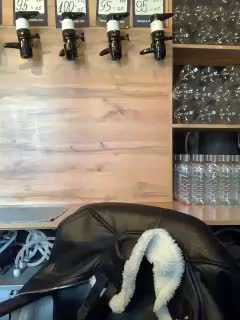 Yummypopka Adult Chat March 5, 2026